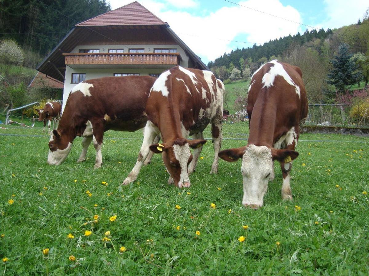 Geigerbauernhof Apartment