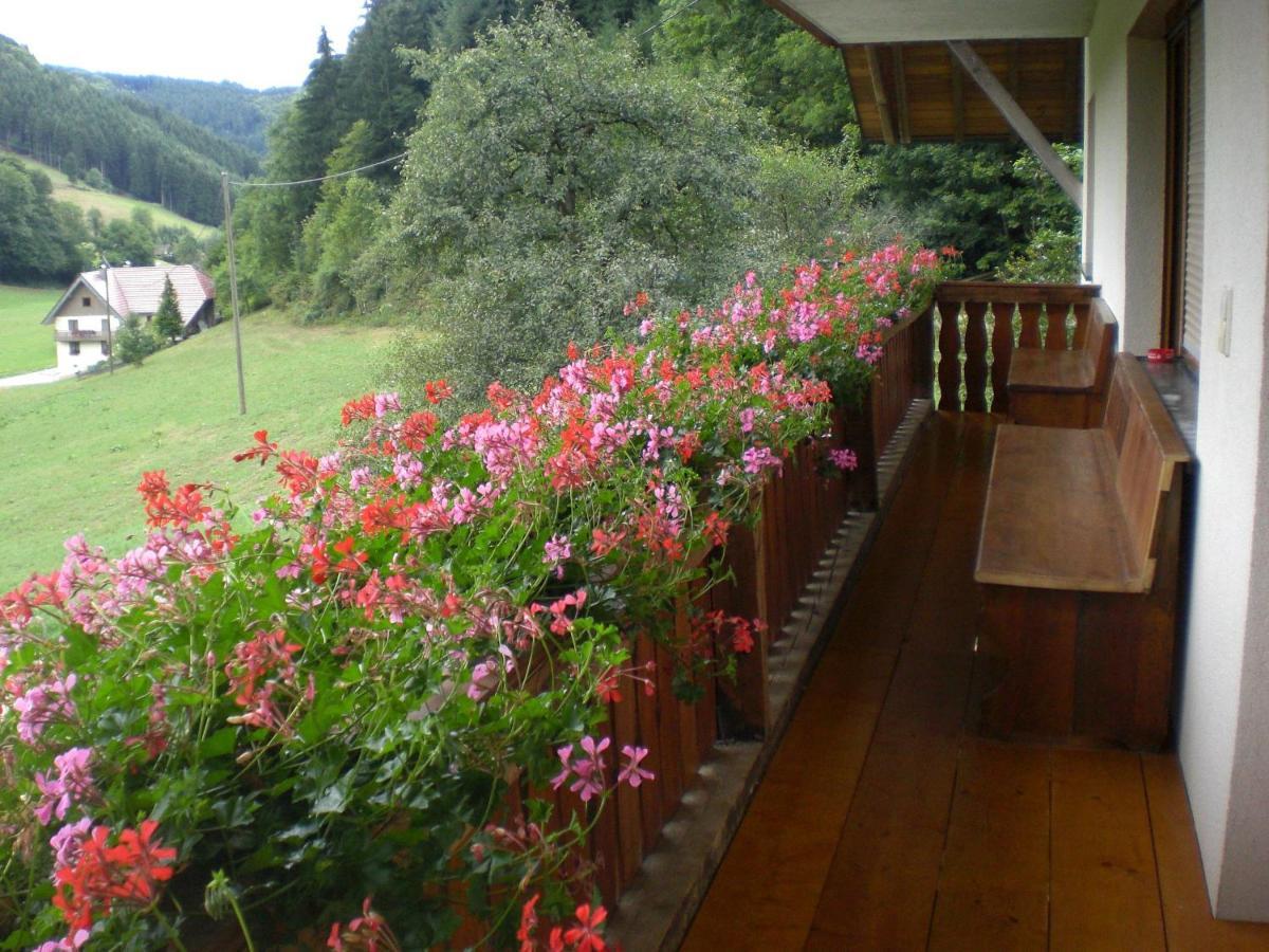 Geigerbauernhof Apartment