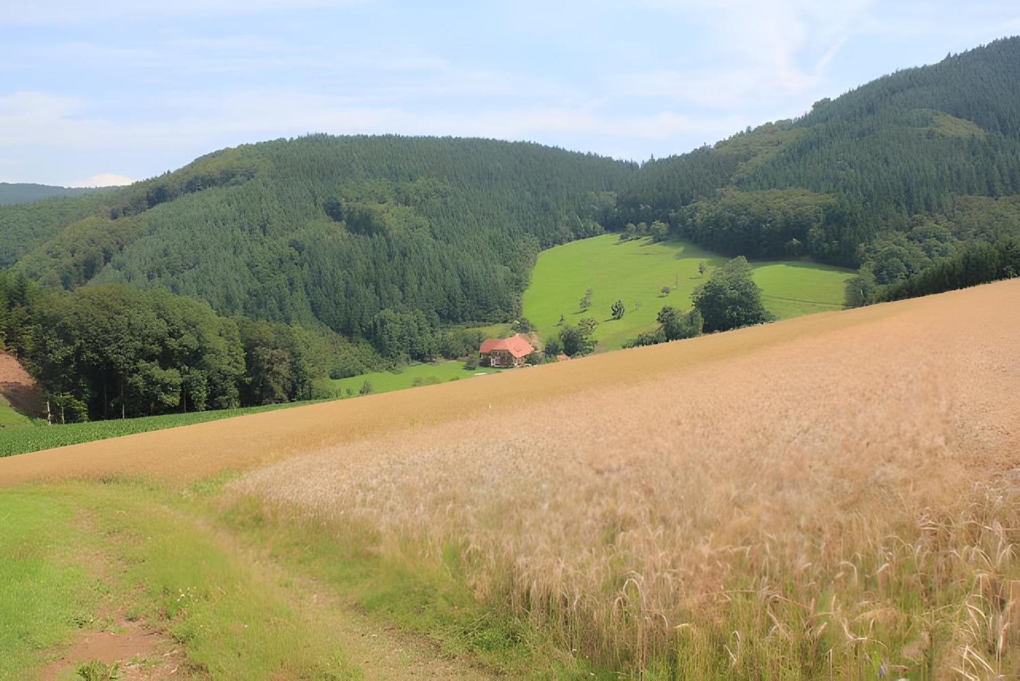 Agroturismo Geigerbauernhof