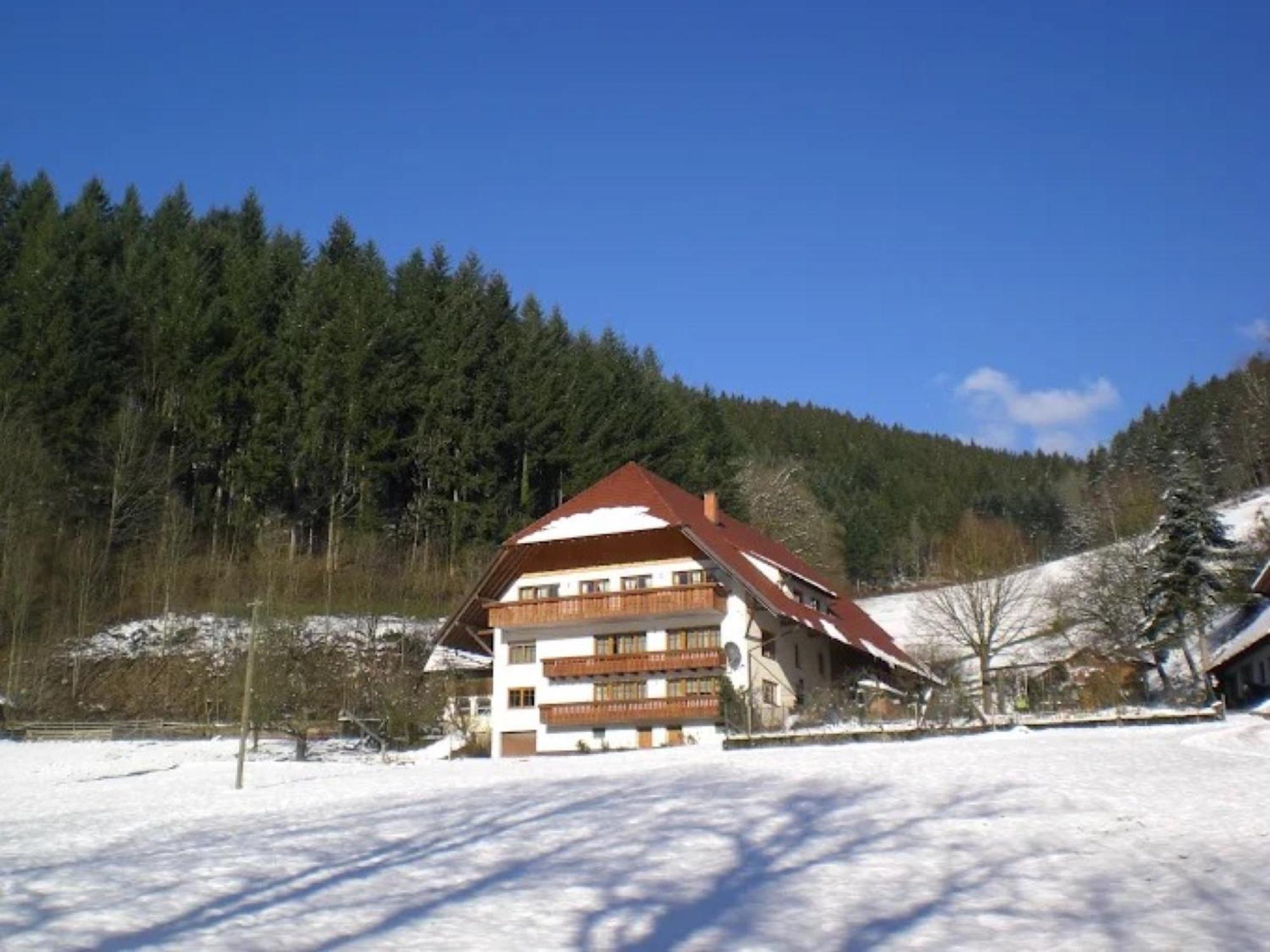 Geigerbauernhof * Mühlenbach