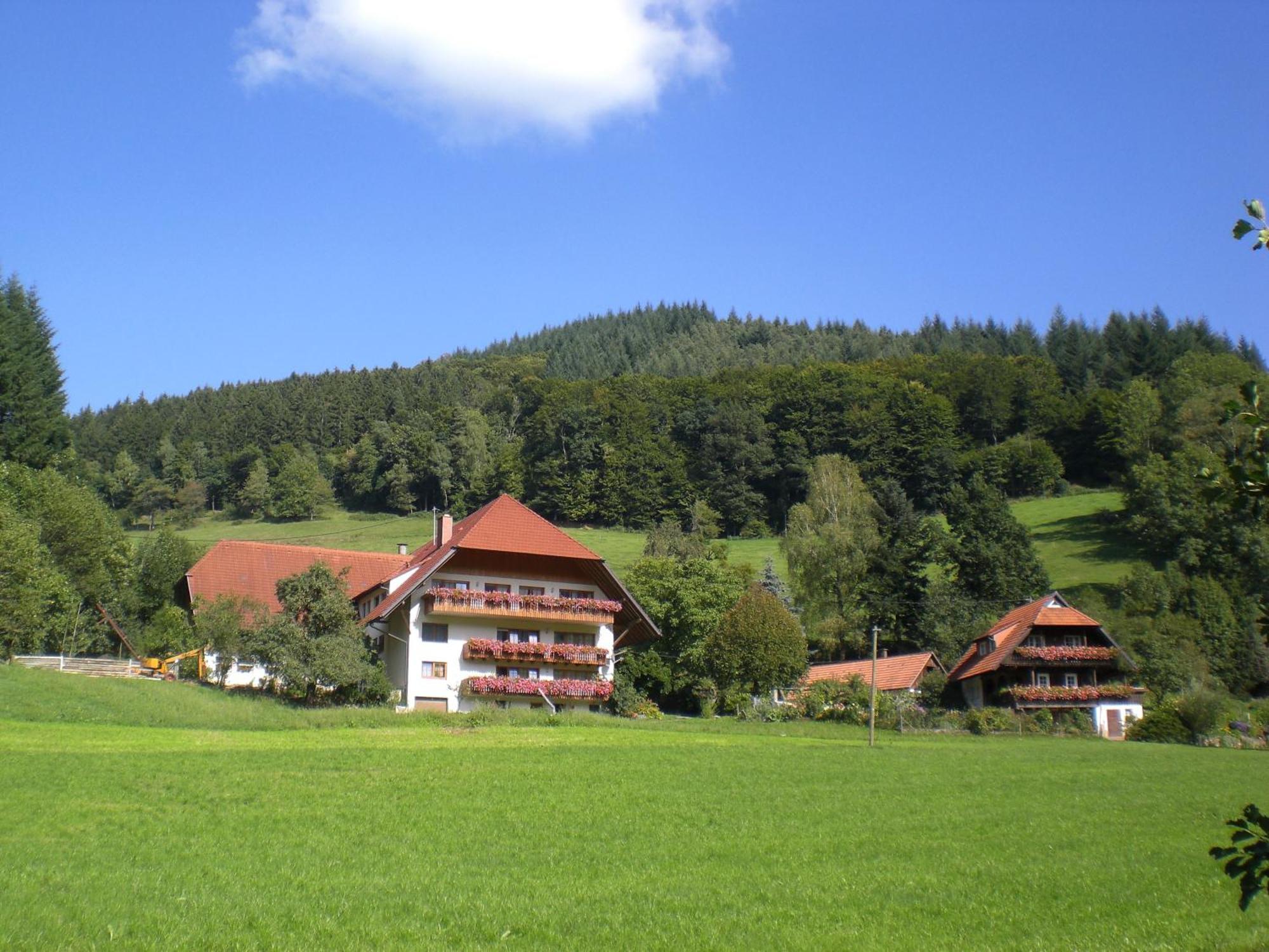 Agroturismo Geigerbauernhof *
